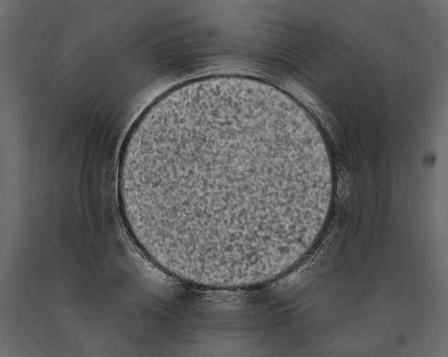 X0000091100836200708271315