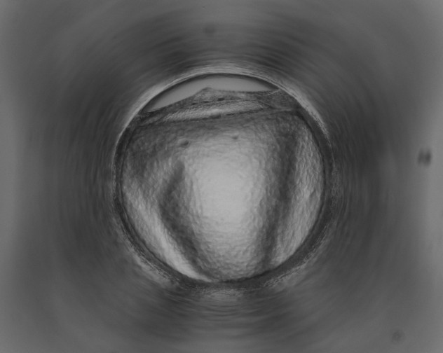 X0000091100837200708271315