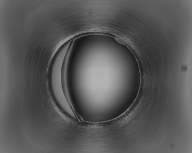 X0000091100838200708271315