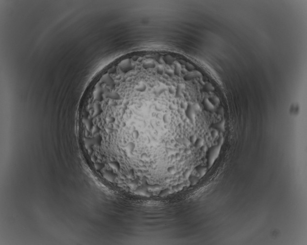 X0000091100839200708271315