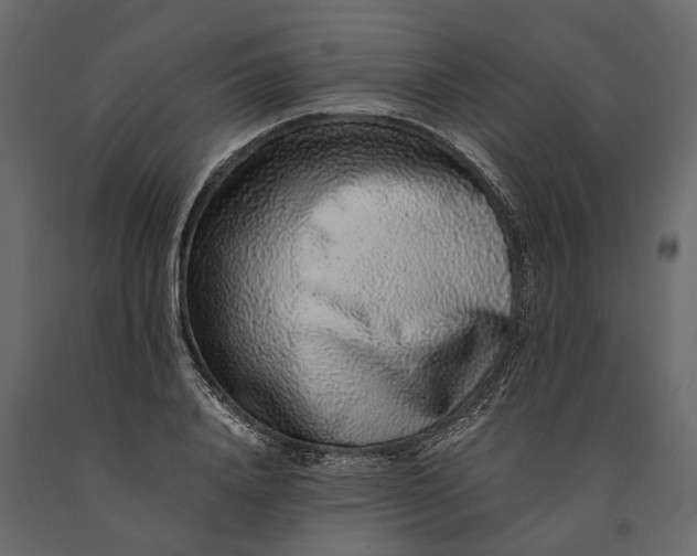 X0000091100840200708271315