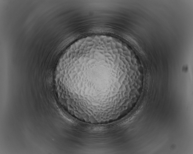 X0000091100841200708271315