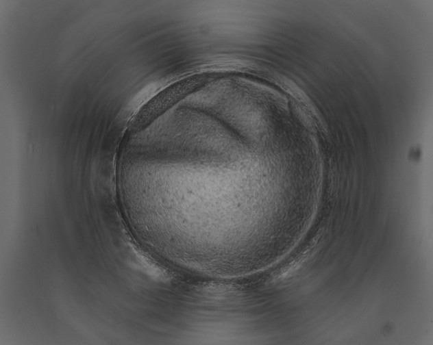 X0000091100842200708271315