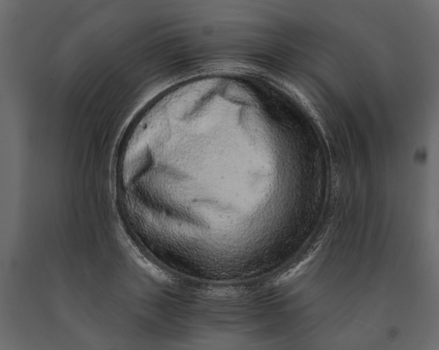 X0000091100843200708271315