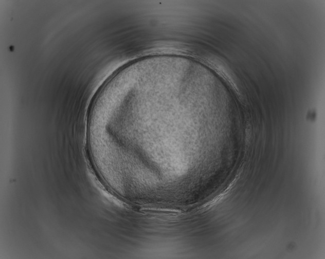 X0000091100844200708271315