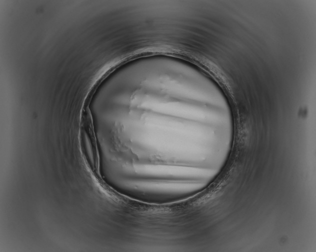 X0000091100845200708271315