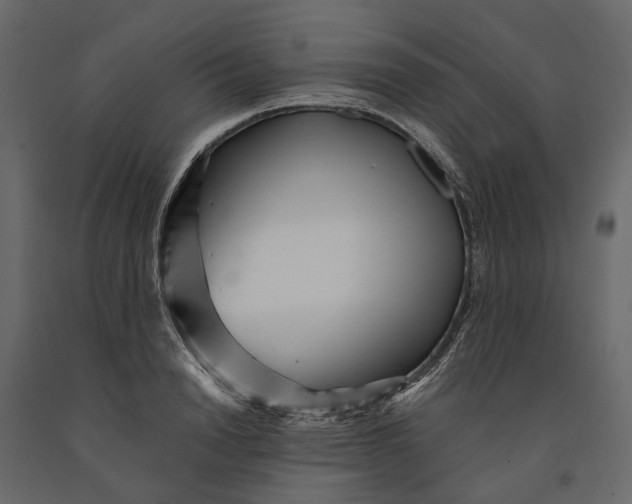 X0000091100846200708271315