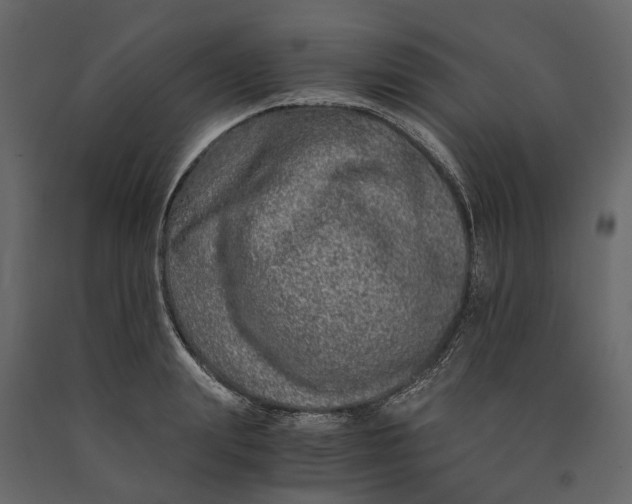 X0000091100847200708271315