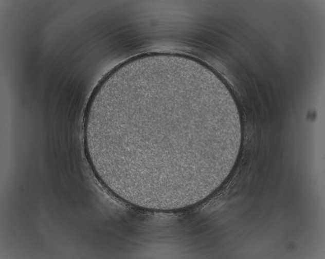 X0000091100848200708271315