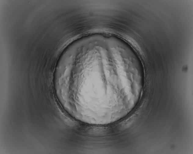 X0000091100849200708271315