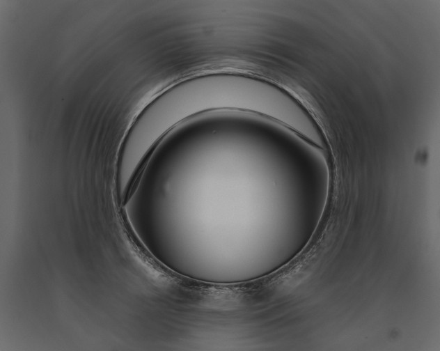 X0000091100850200708271315