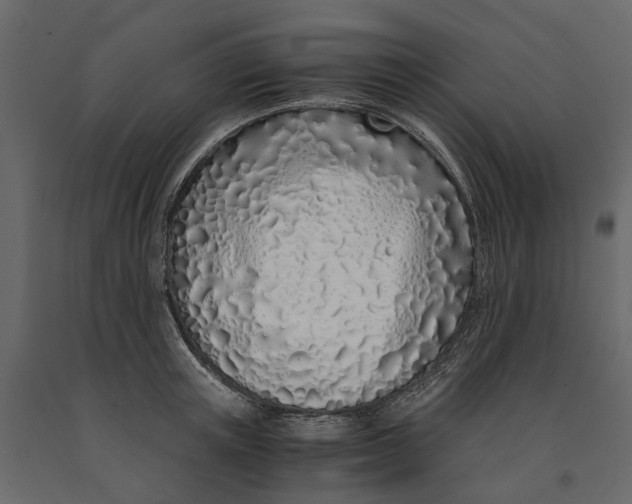 X0000091100851200708271315