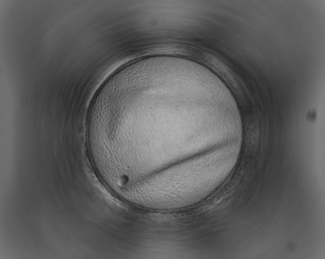 X0000091100852200708271315