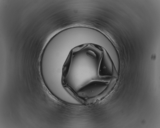 X0000091100854200708271315