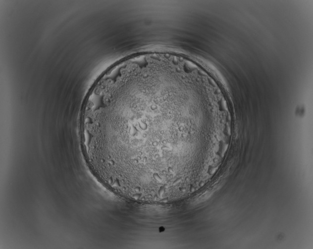 X0000091100855200708271315