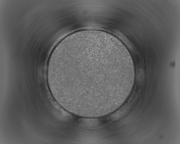 X0000091100856200708271315