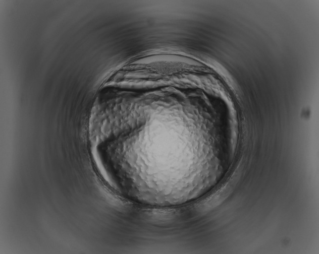 X0000091100857200708271315