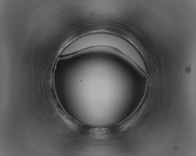 X0000091100858200708271315