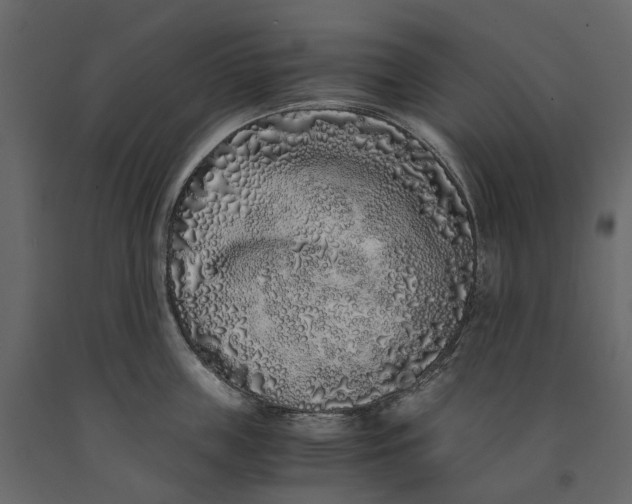 X0000091100859200708271315