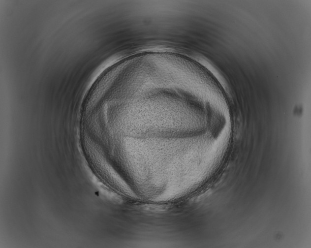 X0000091100861200708271315