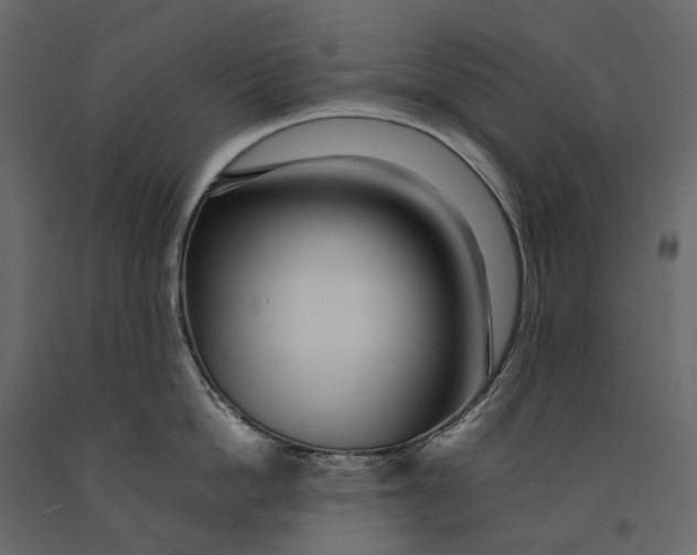 X0000091100862200708271315