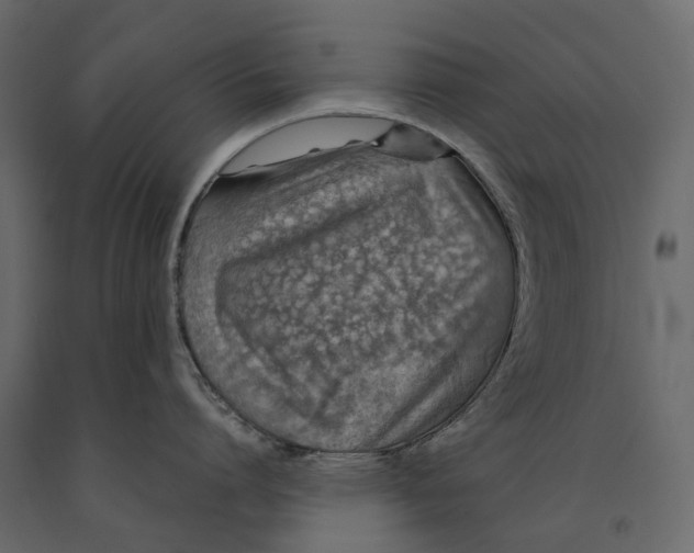 X0000091100864200708271315