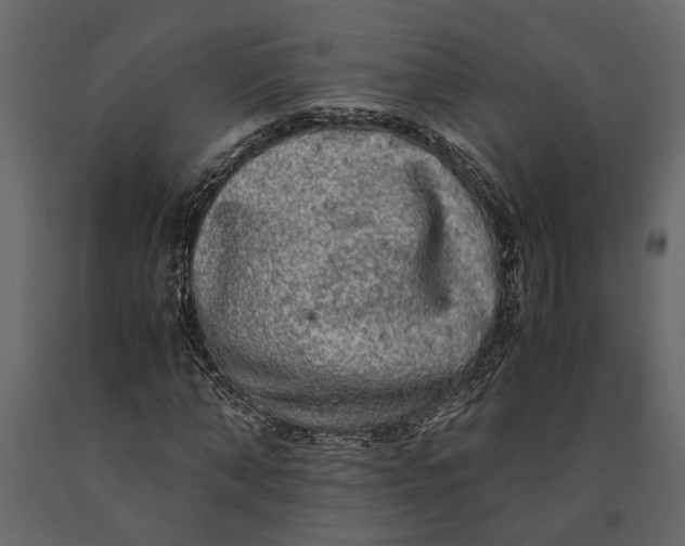 X0000091100870200708271314