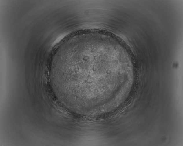 X0000091100871200708271314