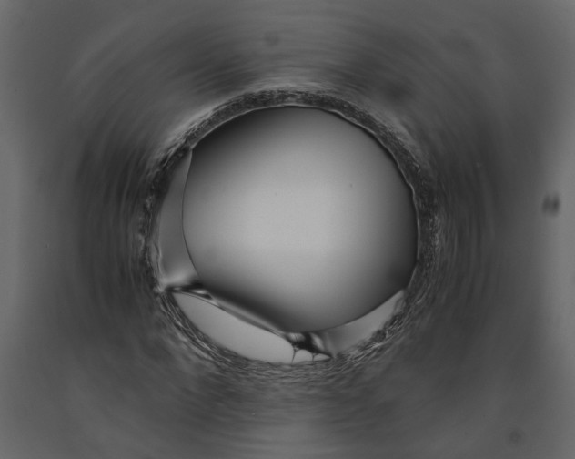 X0000091100872200708271314