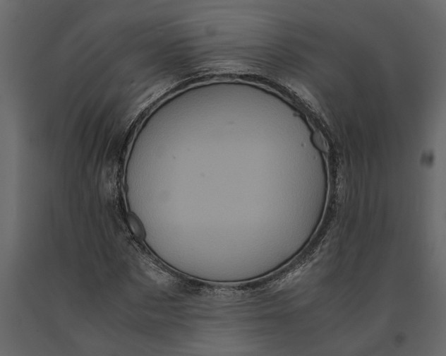 X0000091100873200708271314