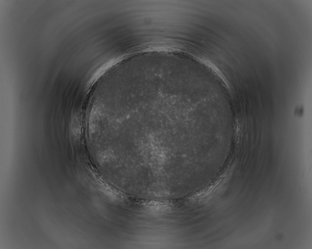 X0000091100874200708271314