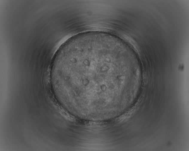 X0000091100875200708271314