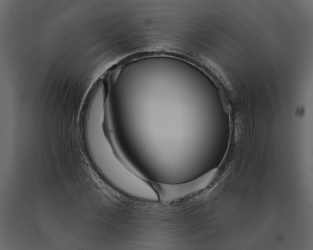 X0000091100876200708271314