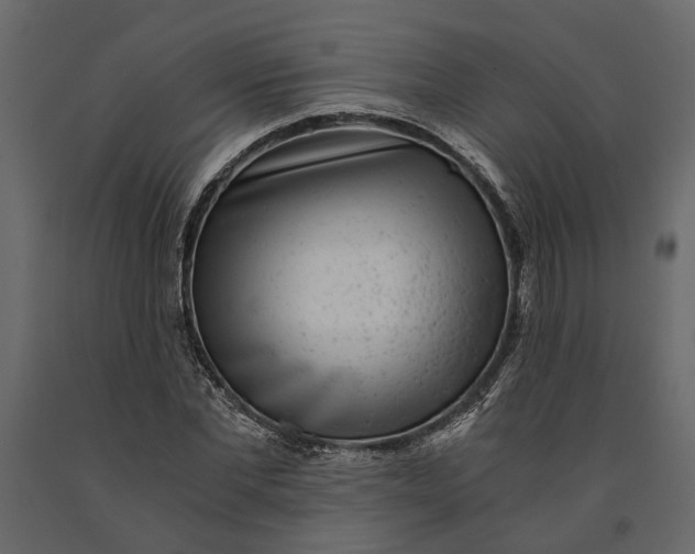 X0000091100877200708271314