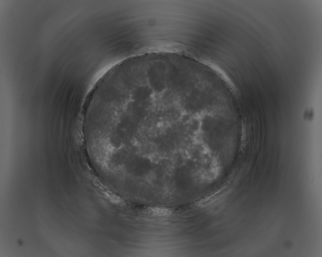 X0000091100878200708271314