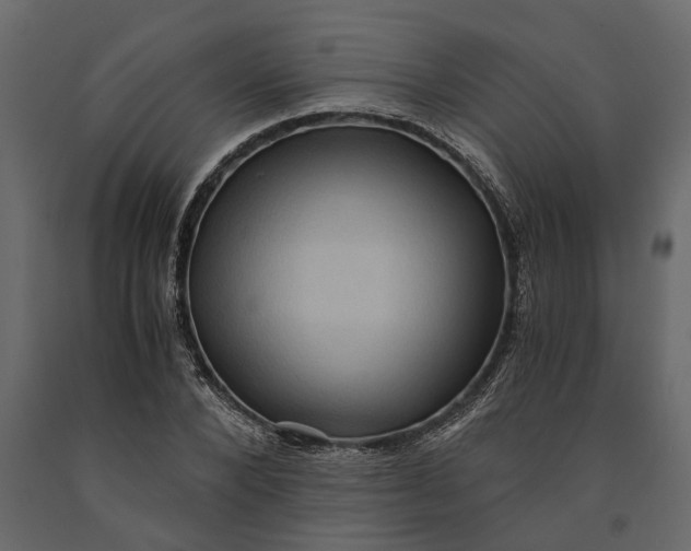 X0000091100880200708271314