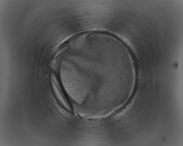 X0000091100881200708271314