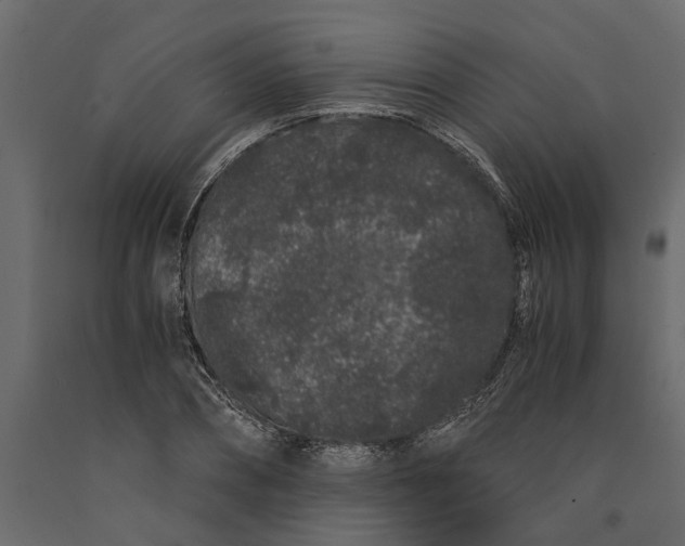 X0000091100882200708271314