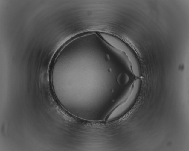 X0000091100884200708271314