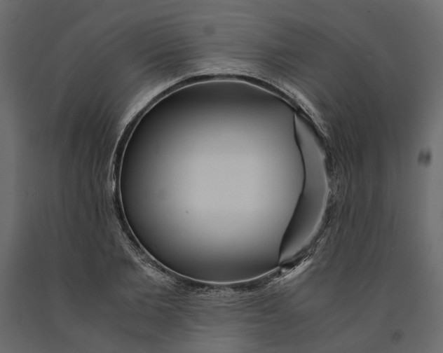 X0000091100885200708271314