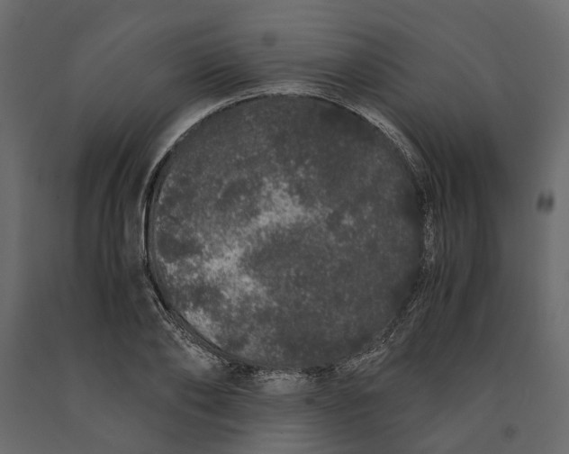 X0000091100886200708271314