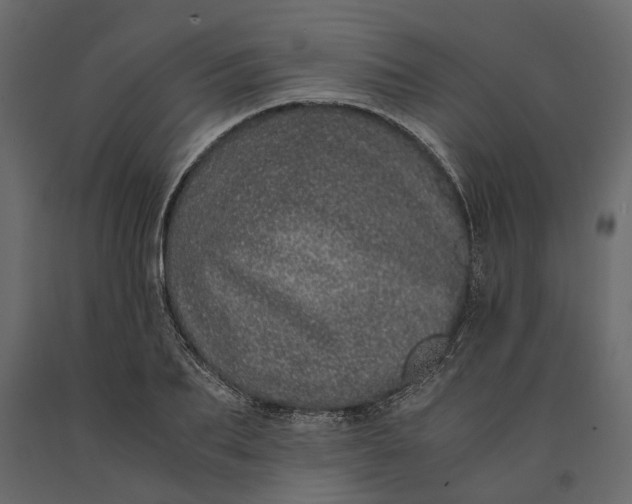 X0000091100887200708271314