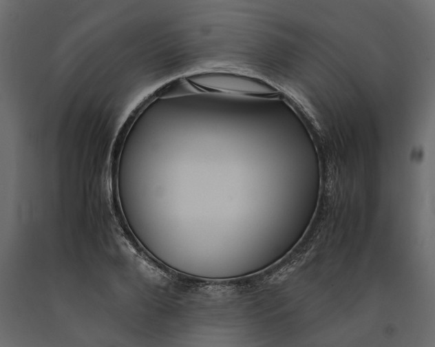 X0000091100888200708271314