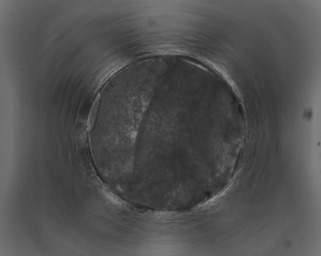 X0000091100889200708271314