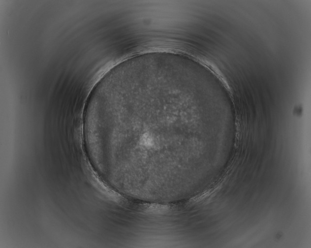 X0000091100890200708271314