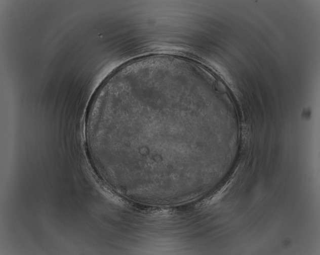 X0000091100891200708271314