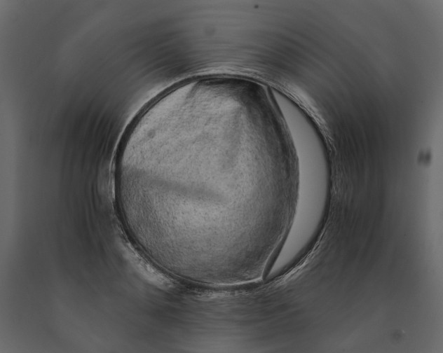 X0000091100892200708271314