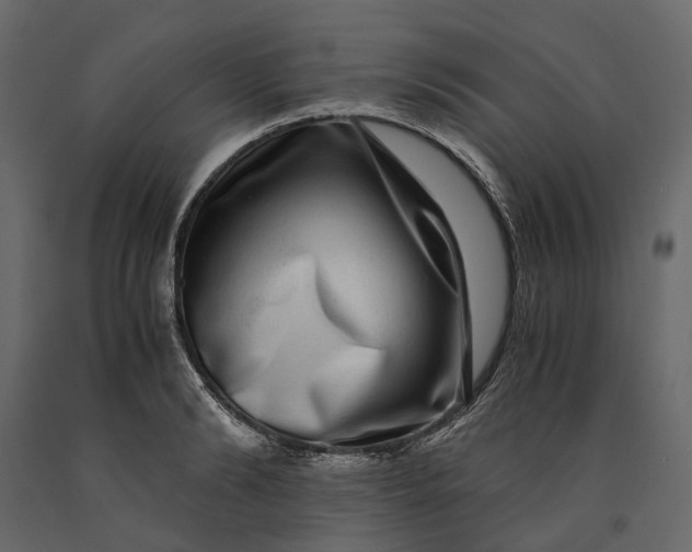 X0000091100894200708271314