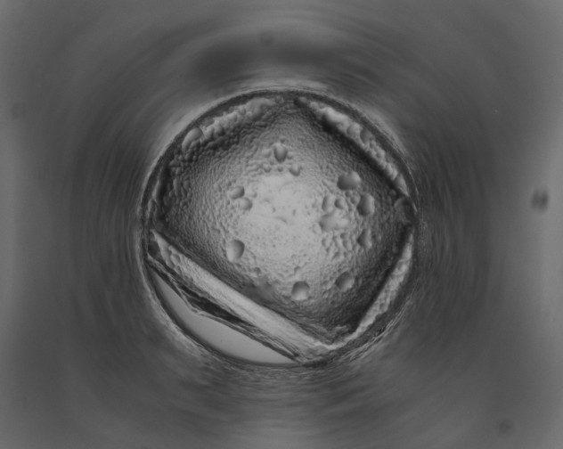 X0000091100895200708271314