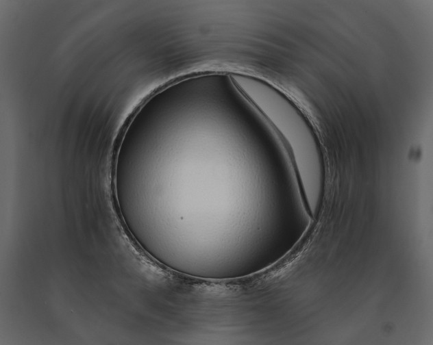 X0000091100896200708271314